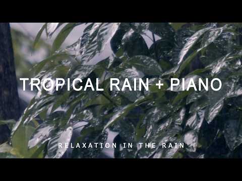 Tropical Rain on Glossy Leaves - Deep Sleep Rain Sounds, Calm Focus