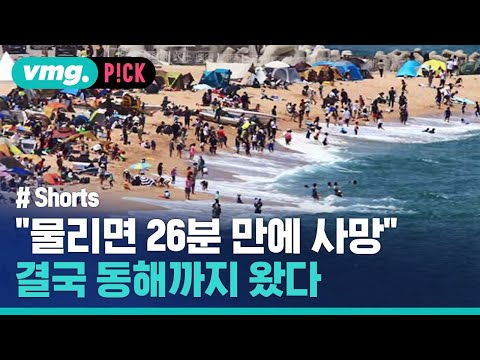 &amp;quot;물리면 26분 만에 사망&amp;quot; 결국 <strong>동해까지</strong> / 비머pick / 비디오머그 #shorts
