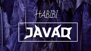 tiktok | HABIBI - JAVAD (remix) Resimi