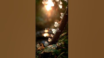 قران كريم ارح قلبك وسمعك #قران_في_دقيقة #اسلام_صبحي #quran #قرآن @قران_في_دقيقة