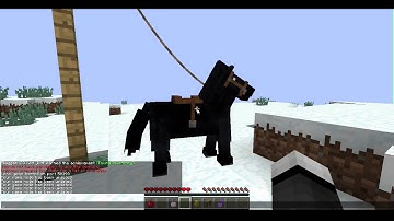 Minecraft Tutorial | How to make Rope Swings No Mods!!!