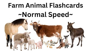 Farm Animals Flashcards ~Normal Speed~