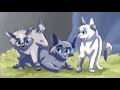 End of video