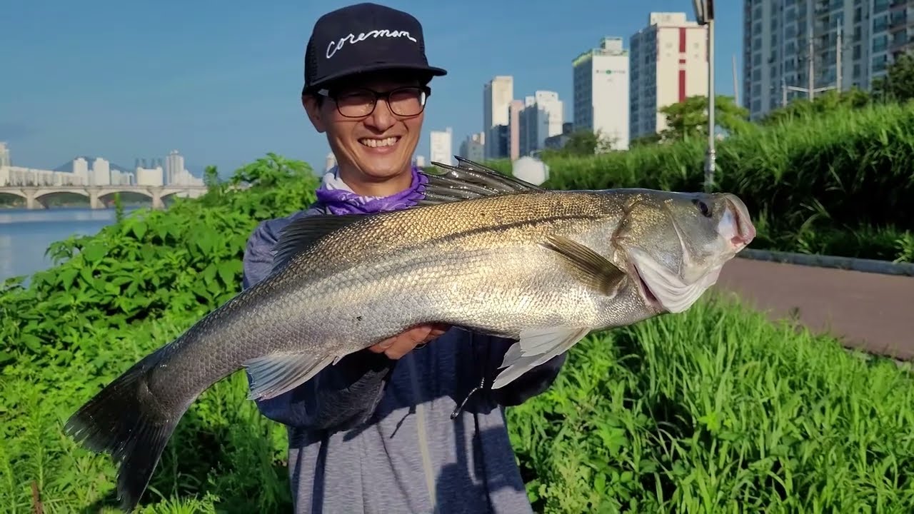 울산 워킹 농어 루어낚시