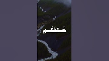 #محمد_صديق_المنشاوي #اكسبلور #quran #القرآن #qurankareem #المنشاوي #القرآن_الكريم #تلاوة_خاشعة