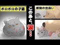 親や人間からも見捨てられたボロボロの子猫…→大型犬が助けた結果…＜ マンガ動画 ＞