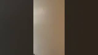 523 W 160th | 5D