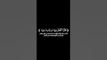 قارئ جديد بحنجرة هادئه ومريحة | القارئ يوسف شاكر