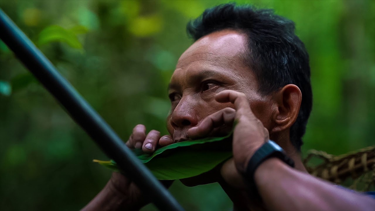 A Hunter From The Penan Tribe  In Borneo Jungle YouTube