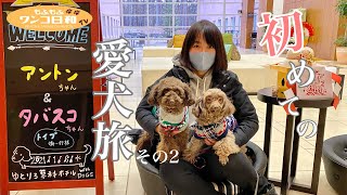 愛犬旅