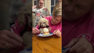 Celebrating Ginny’s birthday! by Gene & Renee Travel Adventures 173 views 5 months ago 1 minute, 27 seconds