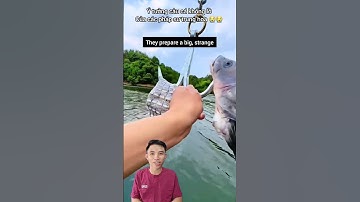 Bất ngờ mồi câu cá khổng lồ của pháp sư trung hoa #fishing #cacconvat #docla