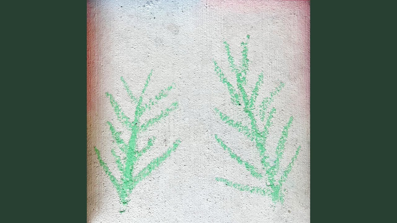 Watch Pine Needles on YouTube Watch Pine Needles on YouTube