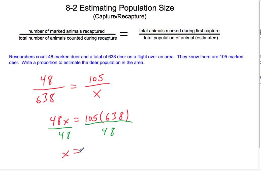 7th grade 8-2 Estimating Population Size.mp4 - YouTube