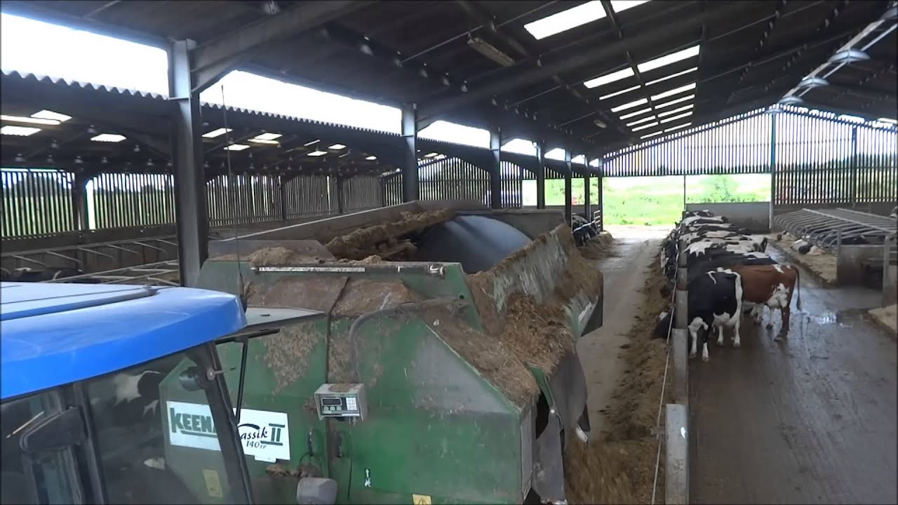 A typical day in the cow shed with lely robots - YouTube