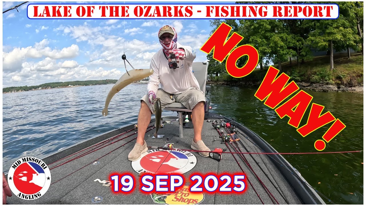 Lake of the Ozarks Bass Fishing – 19 Sep 2025 | Fishing report