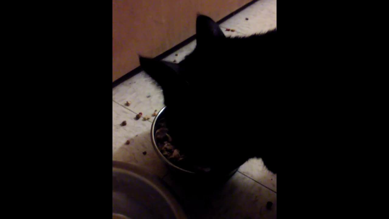 Felix Eating (1) financial collapse blog