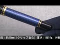 Pelikan ペリカン 万年筆 スーベレーン M600 ブルー縞 F