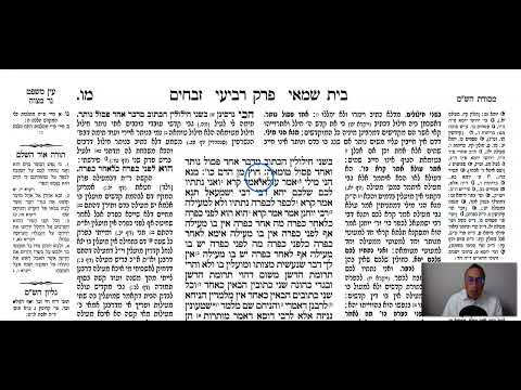 Zevahim 46a - Youtube