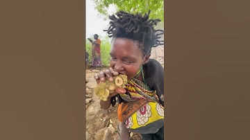 Hadzabe tribe bush women prepare delicous meals in the nature every day for the tribe to eat