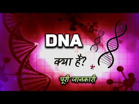 वीडियो: डीएनए क्या है