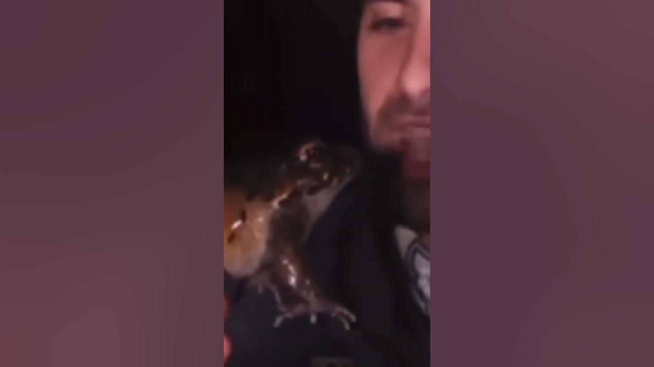 Coyote Peterson meets snoring frog - YouTube