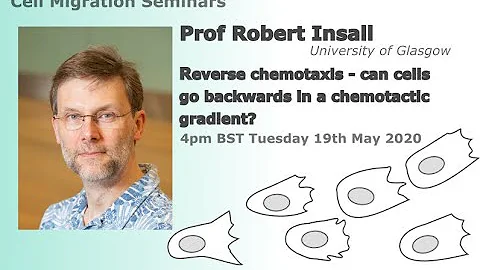 Cell Migration Seminar #2: Robert Insall