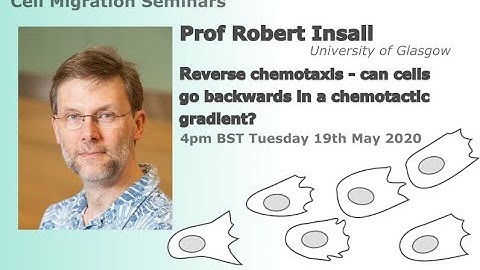 Cell Migration Seminar #2: Robert Insall
