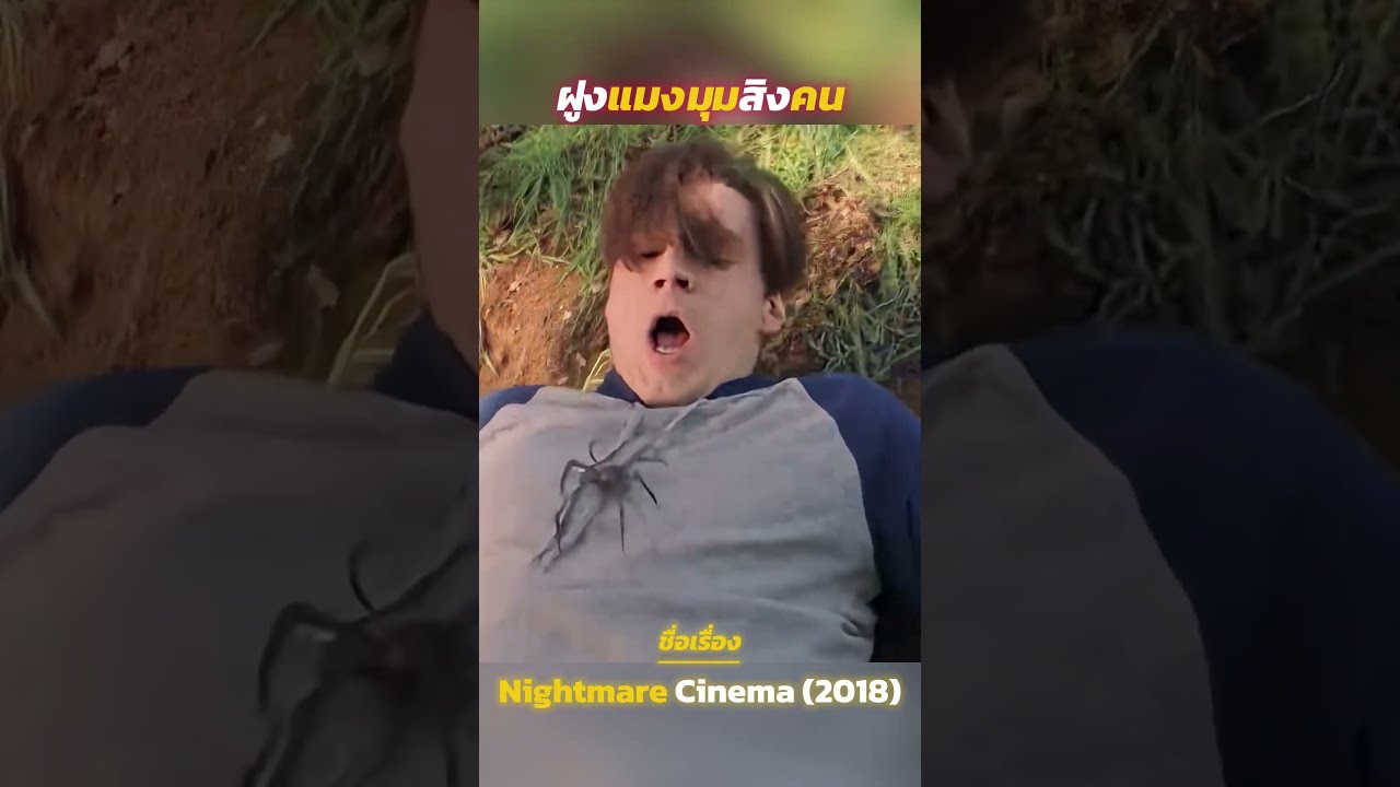 ฝูงแมงมุมสิงคน  #รีวิวหนัง #movie #film
