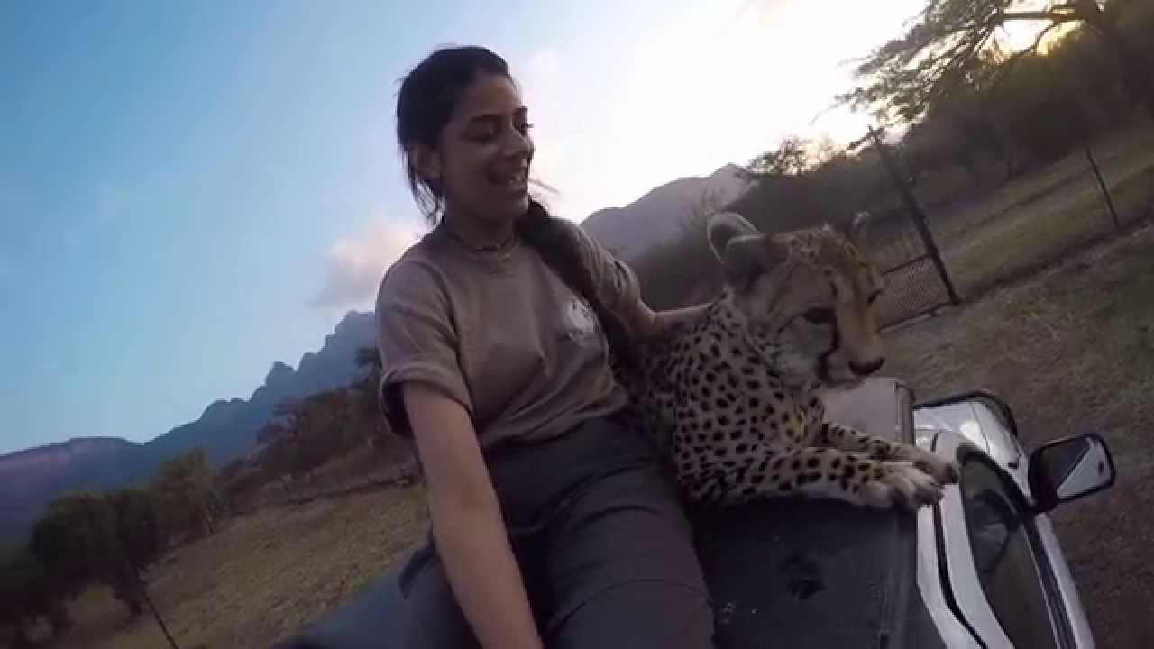 Moholoholo Rehab Center South Africa