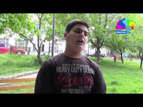 უპატრონო ძაღლებზე მომზადებულ სიუჟეტს გამოხმაურება მოჰყვა