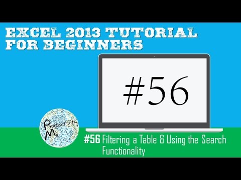 Excel 2013 Tutorial for Beginners #56: Filtering a Table & Using the Search Functionality