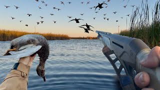 видео: Безумие микроям | 3 человека, 3 уровня сложности «Утка» в Нодаке картинка: Безумие микроям | 3 человека, 3 уровня сложности «Утка» в Нодаке