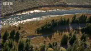 Beaver facts -  BBC Animals