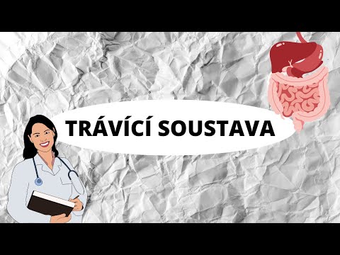 Video: Kde se nachází trávicí trubice?