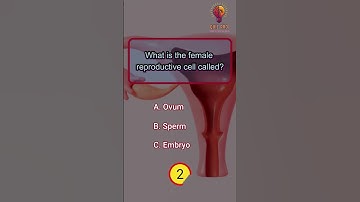 Memory Power Check🧠!! Only genius Got all 🤯!! Health Quiz Part 16 !! Nobody guess all 5 !!