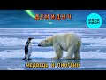 Демидыч - Медведь и пингвин (Single 2025)