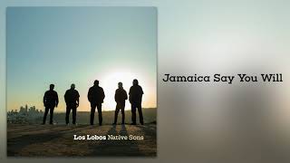 Los Lobos "Jamaica Say You Will" (from Native Sons)
