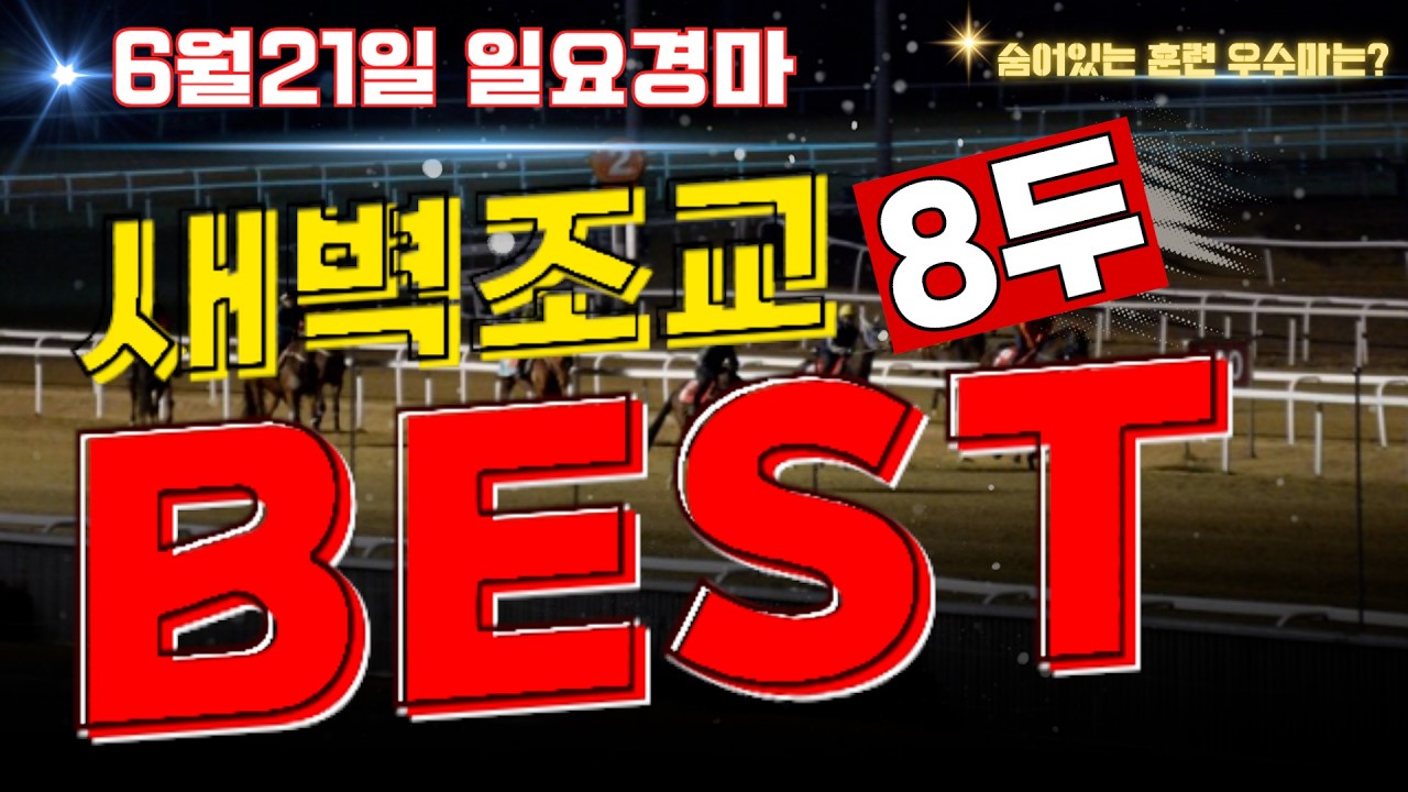[굽소리경마] 6월21일 일요경마!! 새벽부터 느껴지는 승부의지!! 알아야 이길 수 있습니다!! 훈련우수마 8두로 공략!!