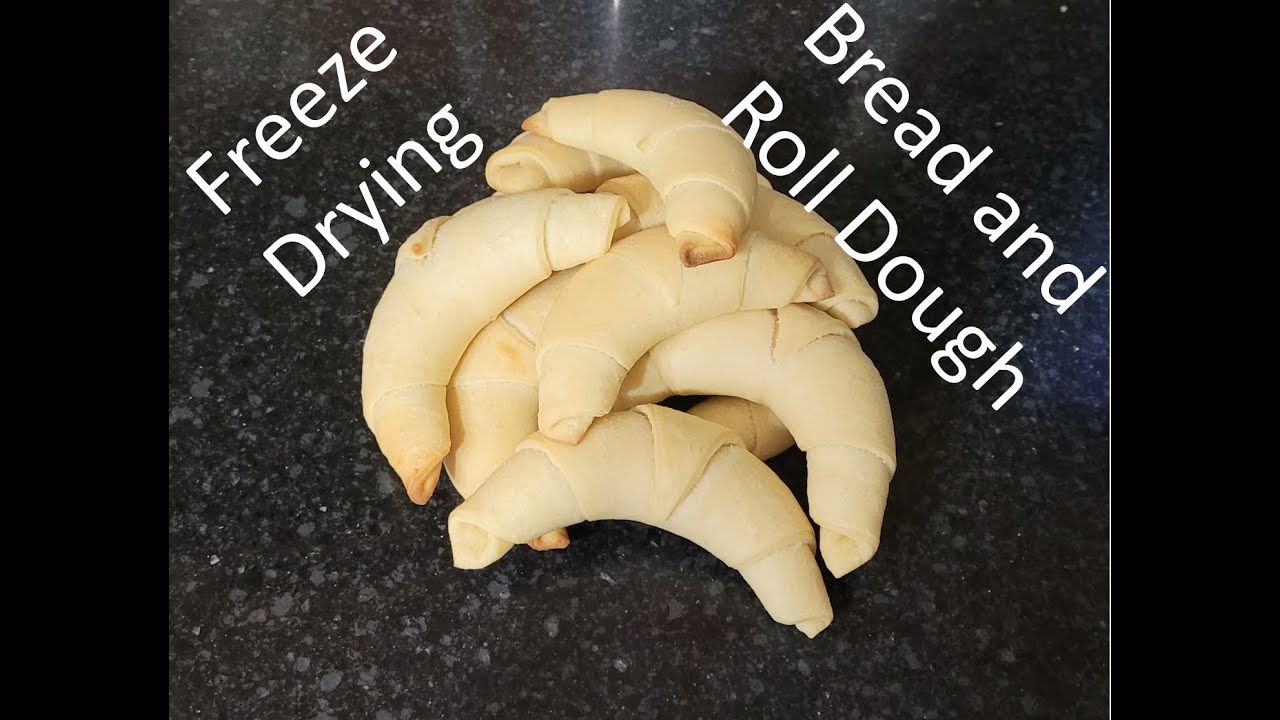 Freeze Drying Bread and Roll Doughs YouTube