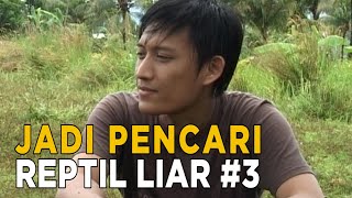 Sang anak membantu keuangan dengan mengurus kerbau tetangga | JIKA AKU MENJADI