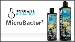 Brightwell Aquatics MicroBacter 7