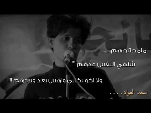 موسيقى ماجد المهندس انت ملك