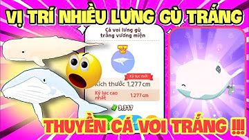 Vị Trí , Địa Điểm Câu “Táng Trắng” & “Lưng Gù Trắng” Nhận Thuyền Cá Voi | Play Together