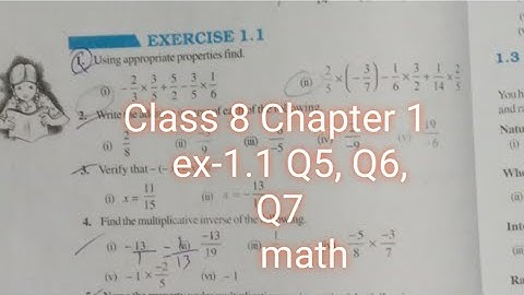 Q5,Q6,Q7,   Ex   1.1 Rational Number   NCRT Math Class   8th Chapter  1