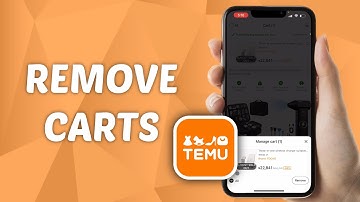 How to Remove Carts on Temu