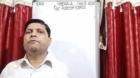 Class IV EVS 09 06 2021 by Mr Rupesh Chapter 2 Respiratory system