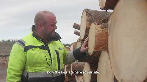 MiCROTEC - Logeye at Hilmer Andersson