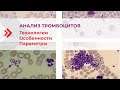 Анализ тромбоцитов – технологии,  особенности и параметры