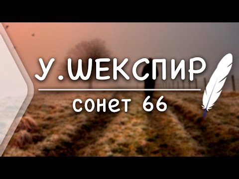 Видео: Защо повечето сонети на Шекспир са адресирани до мъж